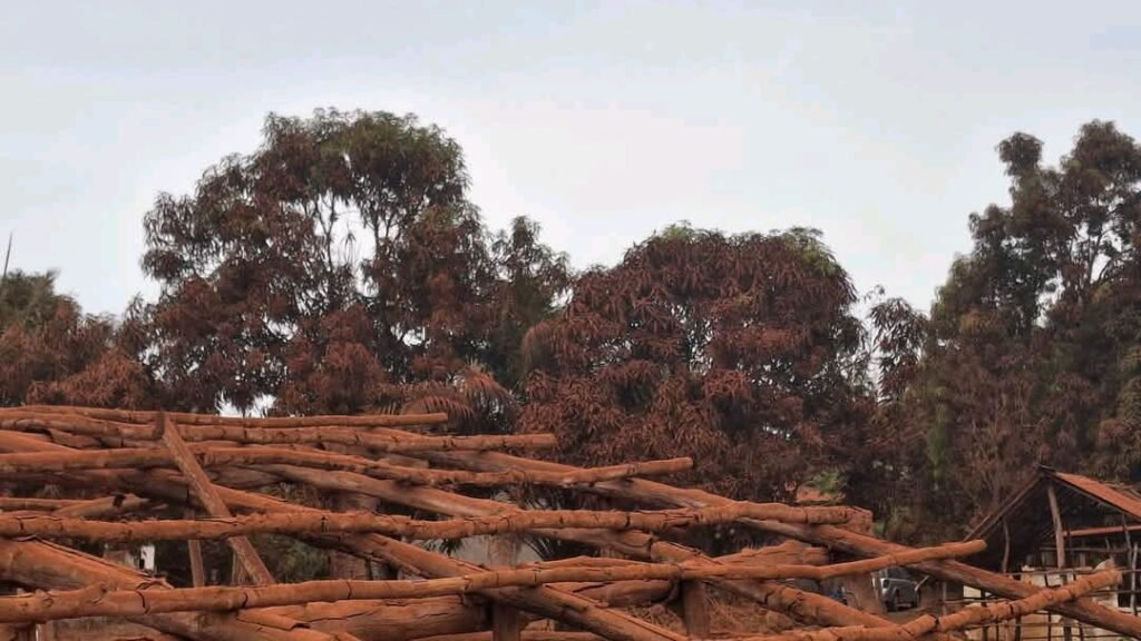Tamita/Boffa: les populations vent debout contre la poussière des camions miniers de Kimbo