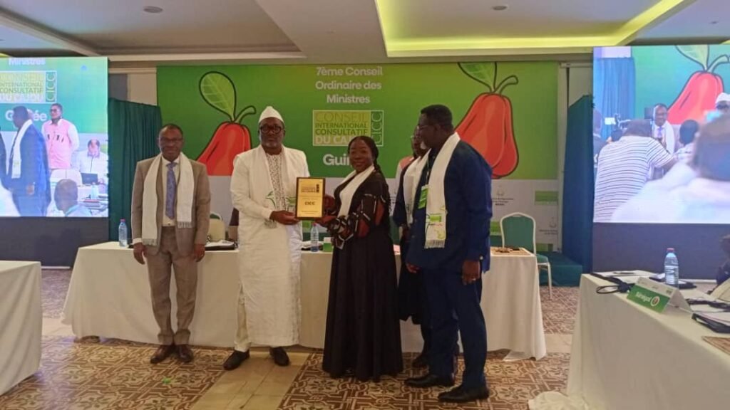 7e Conseil des Ministres du CICC: la Guinée prend la présidence avec ambition pour le développement de la filière cajou en Afrique