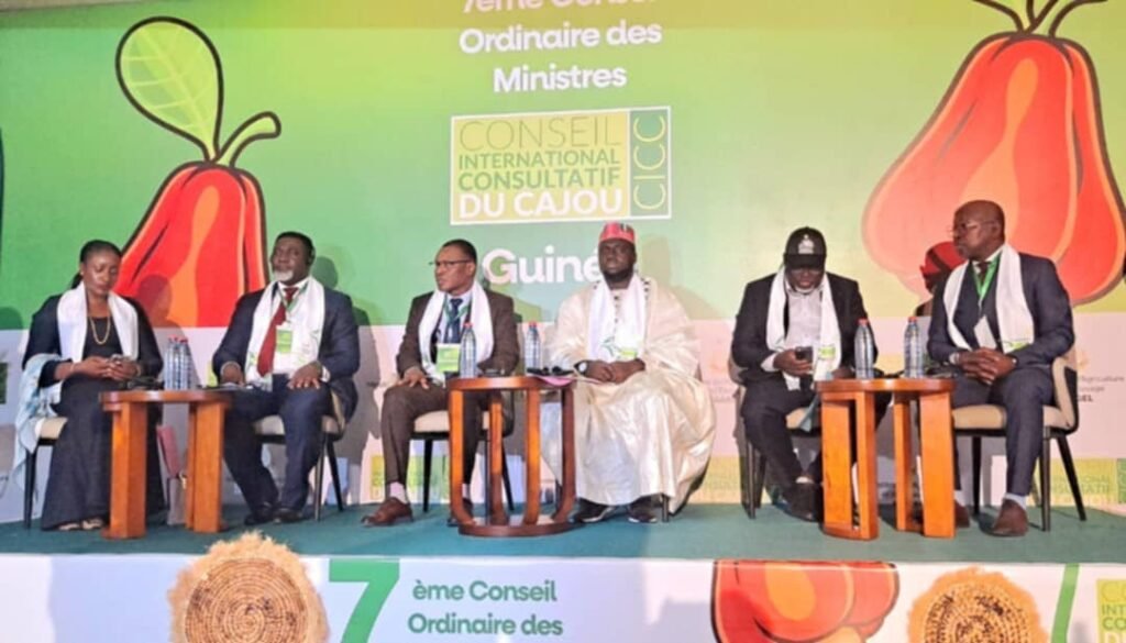 Agriculture : Conakry accueille le 7e Conseil des ministres du CICC 