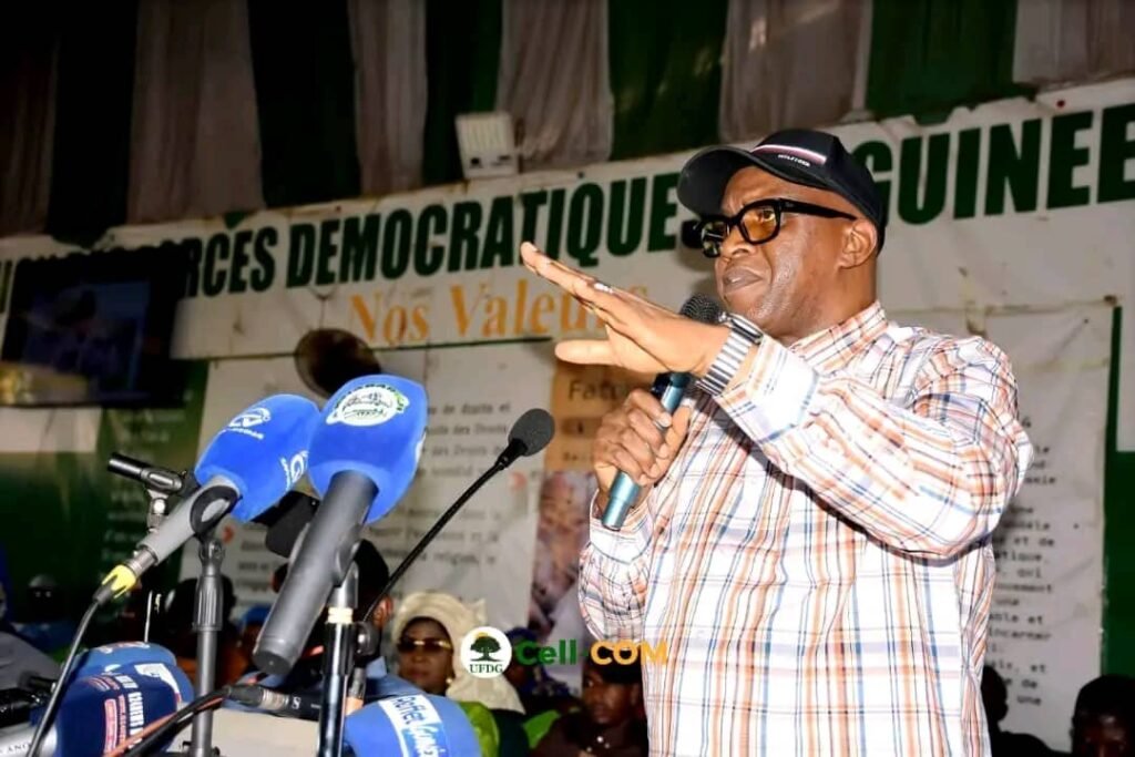 L’UFDG dément toute suspension : ‘’le parti n’est pas suspendu, il est légaliste’’