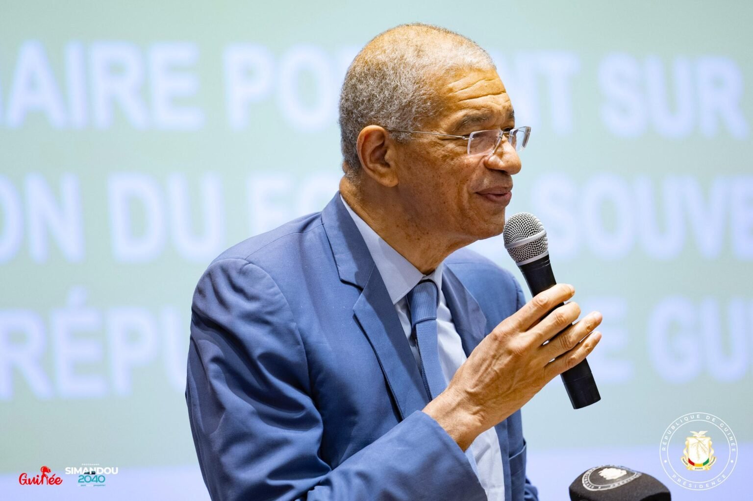 Disons-le avec Lionel Zinsou !