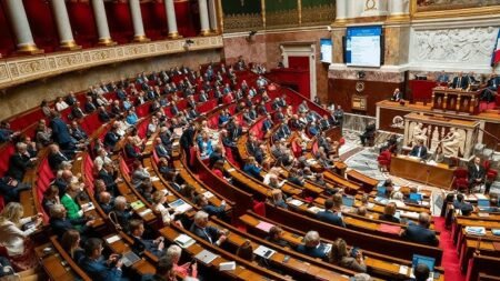 France : l’Assemblée nationale vote en faveur du « droit à l’aide à mourir »