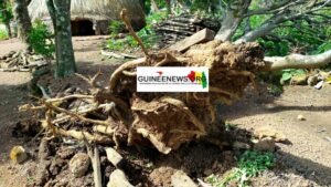 Pluies, grêles et vents violents : le climat se déchaîne sur la Moyenne Guinée