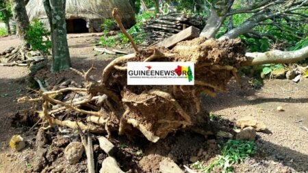 Pluies, grêles et vents violents : le climat se déchaîne sur la Moyenne Guinée
