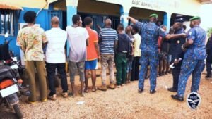 Lutte contre le trafic de drogue au Grand Conakry : 31 arrestations effectuées par une opération conjointe