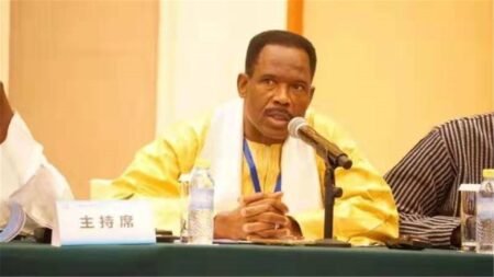 La Chine et la promotion de l’innovation, du développement et des sciences (Par Prof. Yoro Diallo)