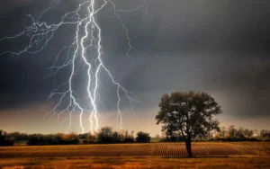 Orage meurtrier à Coyah : une fillette tuée par la chute d’un baobab, plusieurs blessés