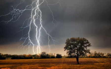 Orage meurtrier à Coyah : une fillette tuée par la chute d’un baobab, plusieurs blessés