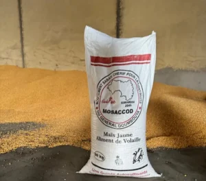 Soutien au CNRD : le MOSACCOD de Hadja Djaba Doumbouya importe 10 000 tonnes de maïs pour appuyer les aviculteurs