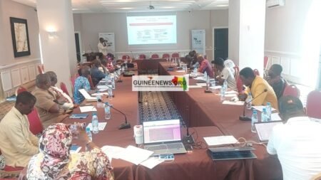 Afrique: Terre des Hommes présente les résultats de la première phase du projet EJM qui couvre 5 pays
