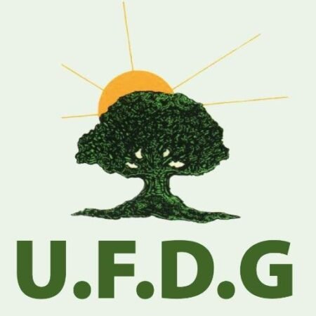 UFDG : les règles du jeu clarifiées à l’approche du congrès décisif