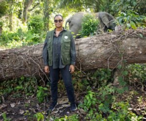 Environnement : Le Gouvernement interdit la coupe et le transport de bois en Guinée 