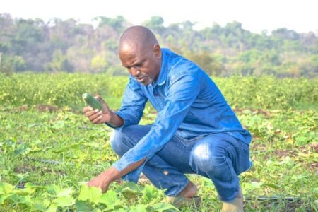 Administration publique et activités agricoles :  le secrétaire général de l’ISAV engagé à tous les niveaux