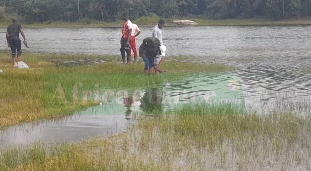 Mortalité “massive”  de poissons au lac de Samaya (Kindia) : Ce que les enquêtes ont révélé…
