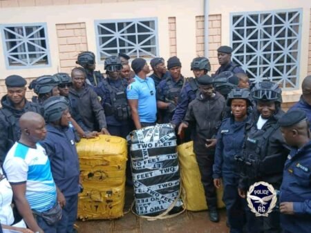 Forécariah : la police saisit 186 kilos de chanvre indien à Moussayah