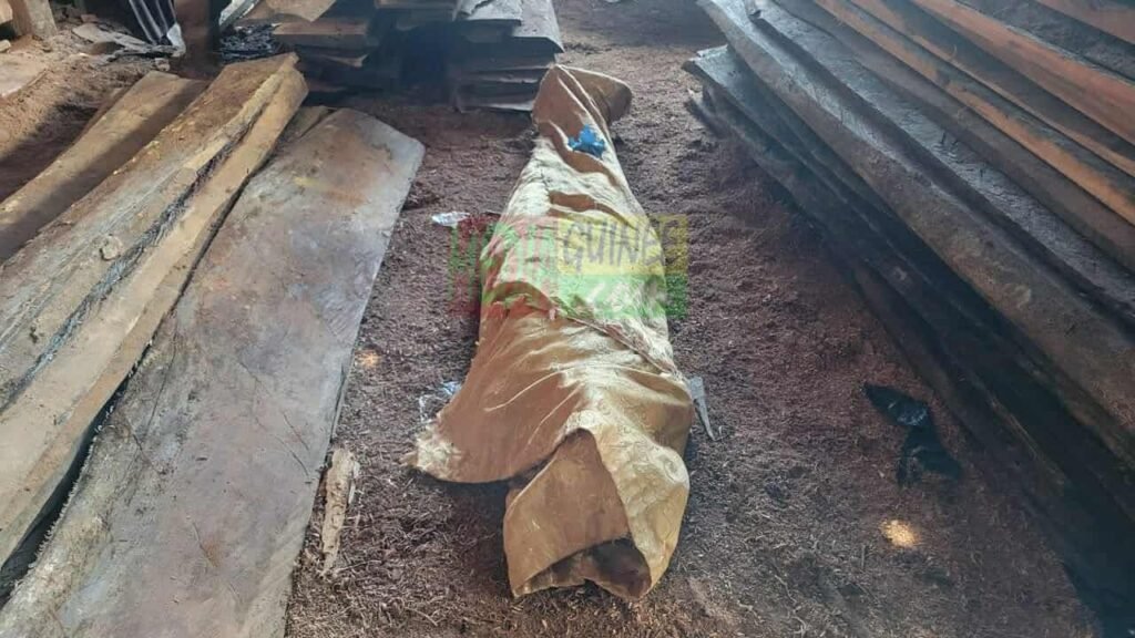 Conakry : un jeune homme retrouvé sans vie dans un atelier de menuiserie