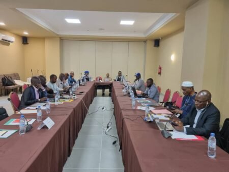 Vaccination en Guinée : Le Gouvernement et ses partenaires se retrouvent pour définir une nouvelle stratégie vaccinale…