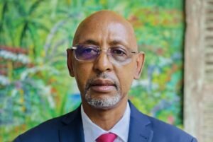 « L’armée guineenne, comment et pour quoi faire ? » : nouvel ouvrage de Mamadou Aliou Barry