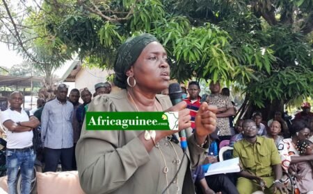 Guinée: Une crise en gestation dans le secteur éducatif…